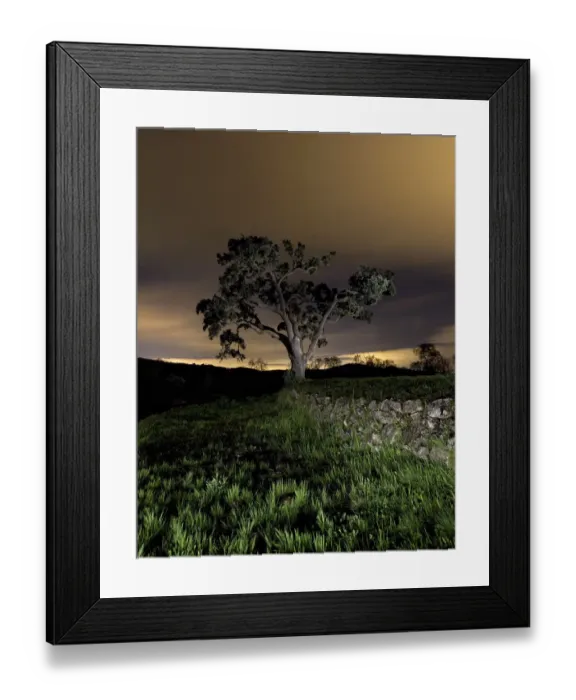 Framed Print : Encina in a night sky with light pollution Framed Print : Encina in a night sky with light pollution