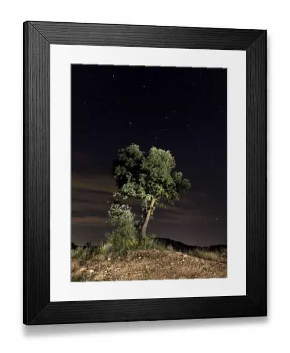 Framed Print : Lone oak starry night sky Framed Print : Lone oak starry night sky