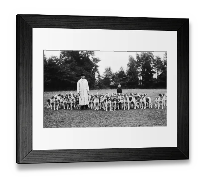 Framed Print : Watch It Fox