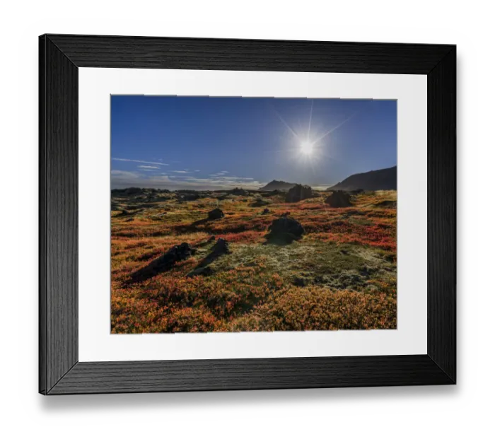 Framed Print : Lava and moss in the autumn, Western Iceland Framed Print : Lava and moss in the autumn, Western Iceland