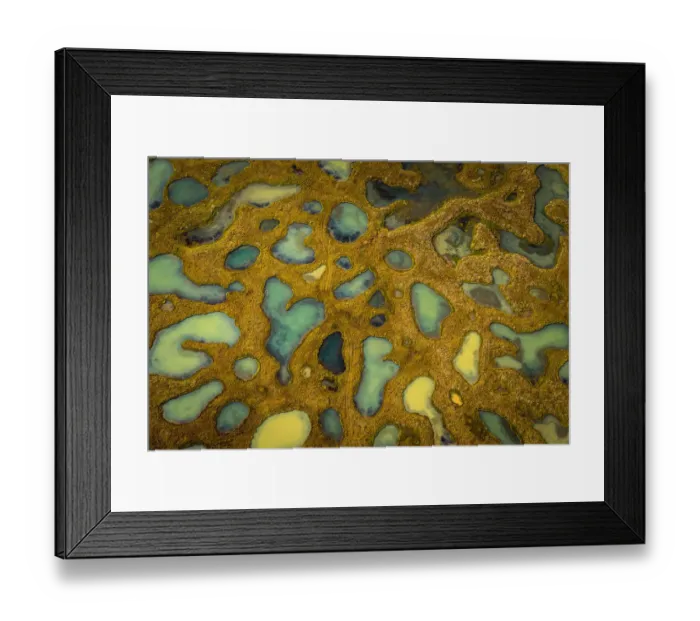 Framed Print : Small ponds with lava and moss, Iceland Framed Print : Small ponds with lava and moss, Iceland