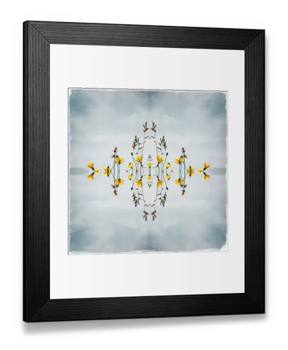 Framed Print : Wildflowers and Sky, Iceland Framed Print : Wildflowers and Sky, Iceland