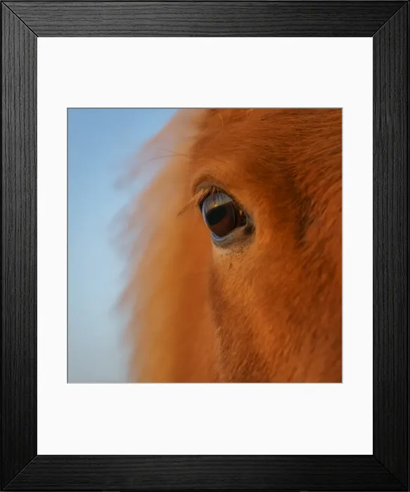Framed Print : Arctic-Images Framed Print : Arctic-Images