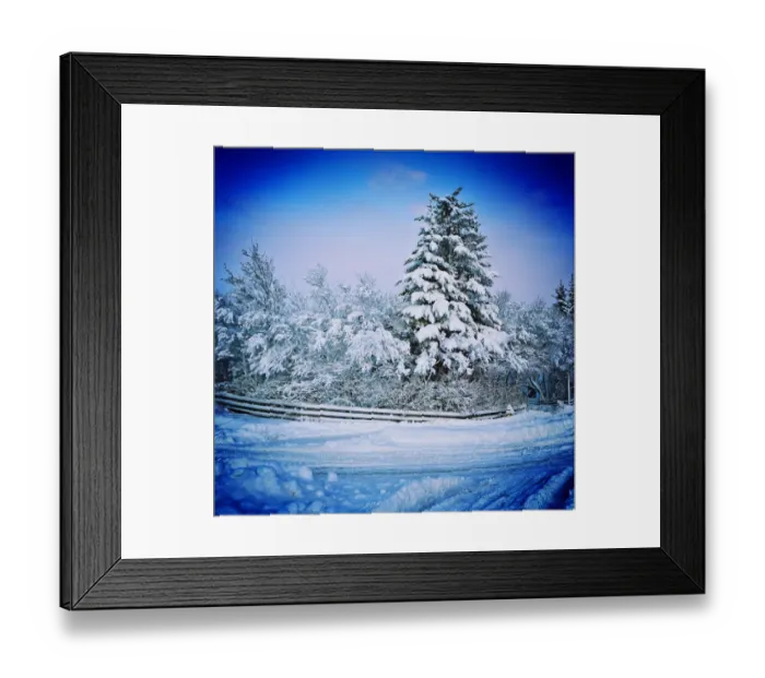 Framed Print : Snowy day. Trees covered with snow after a winter storm, Reykjavik, Iceland Framed Print : Snowy day. Trees covered with snow after a winter storm, Reykjavik, Iceland