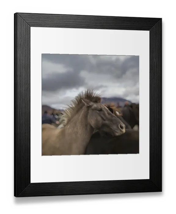 Framed Print : Laufskalarett Framed Print : Laufskalarett