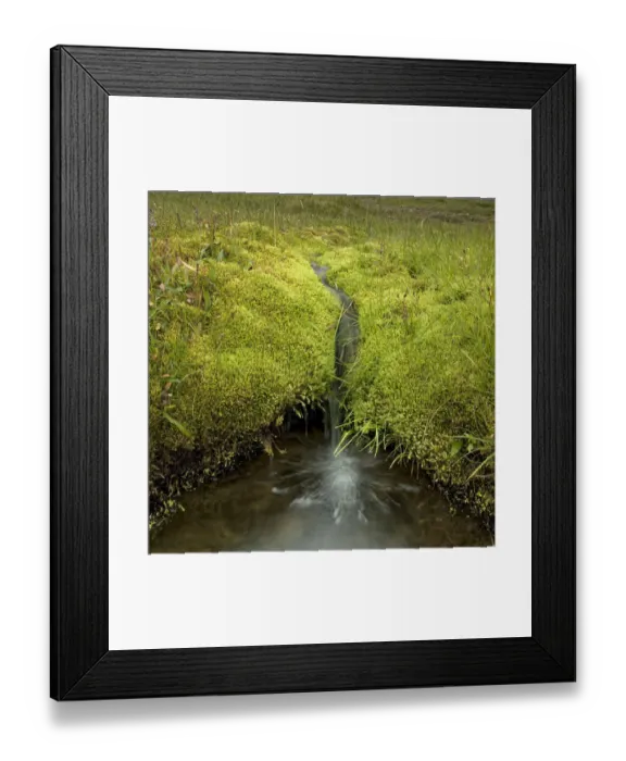 Framed Print : Moss with fresh water creek Framed Print : Moss with fresh water creek