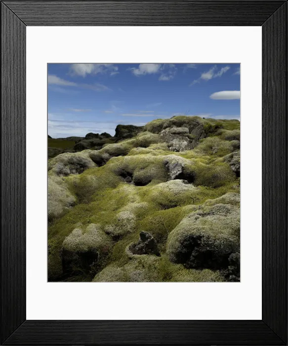 Framed Print : Moss covered volcanic lava field Framed Print : Moss covered volcanic lava field