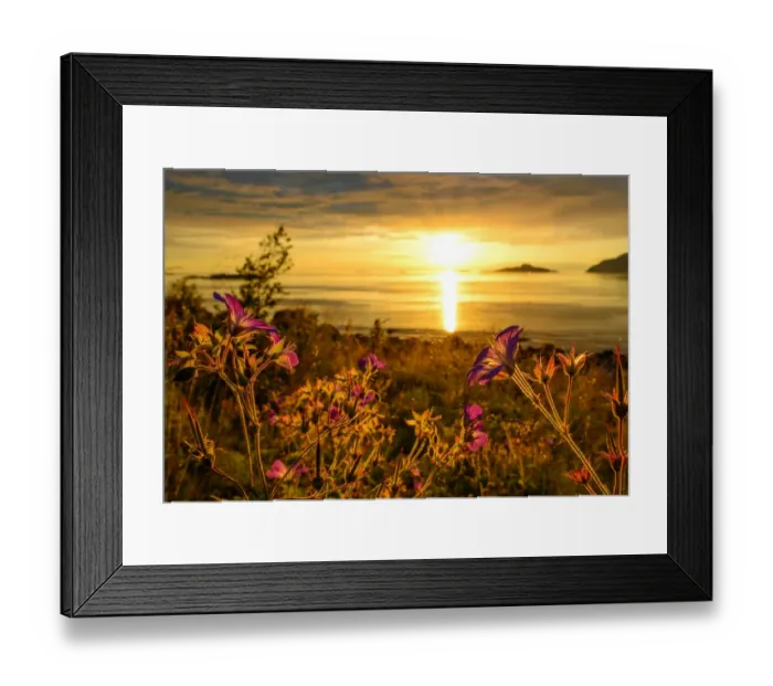 Framed Print : midsummer night in Troms Framed Print : midsummer night in Troms