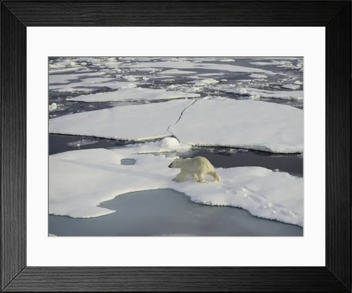 Framed Print : Casting A Long Shadow Framed Print : Casting A Long Shadow