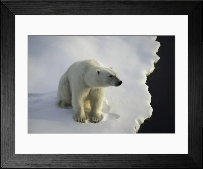 Framed Print : On The Edge Framed Print : On The Edge
