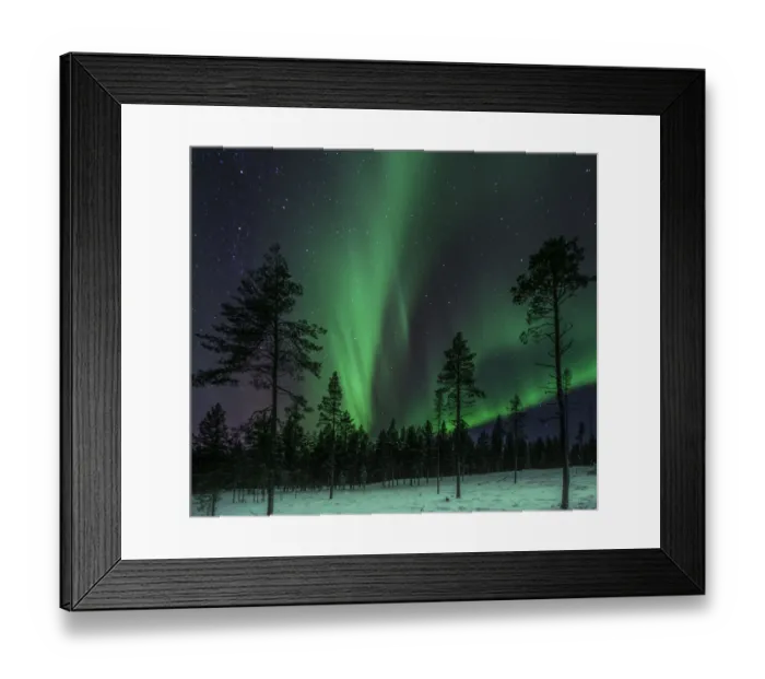 Framed Print : Forest Aurora Framed Print : Forest Aurora