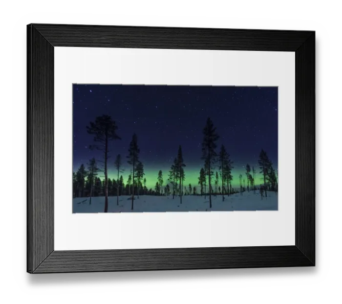 Framed Print : Aurora Forest Framed Print : Aurora Forest