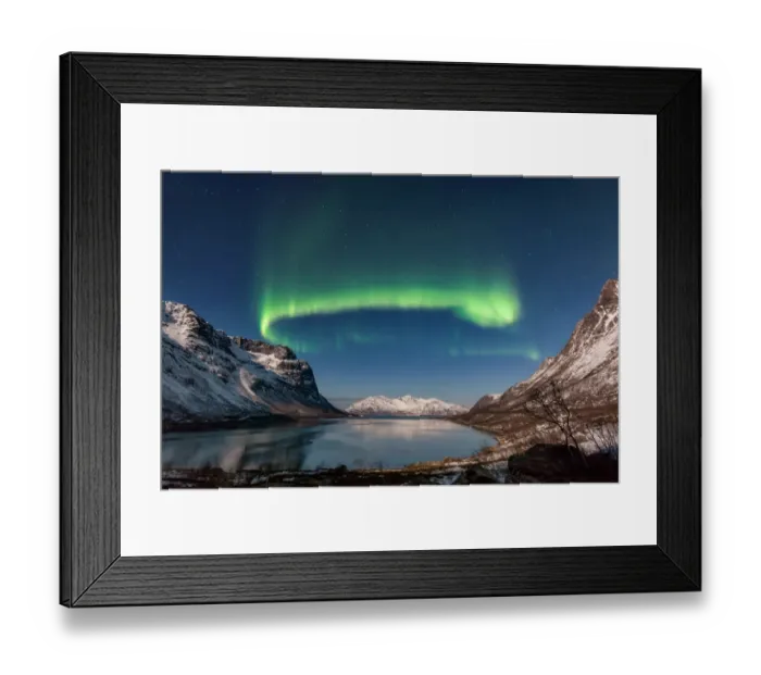 Framed Print : Green Snake