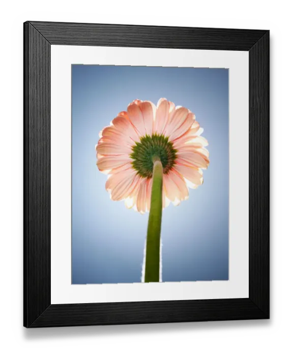 Framed Print : Chris Stein Framed Print : Chris Stein