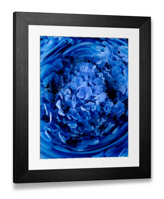Framed Print : Swirl of blue flowers (Digital Composite)