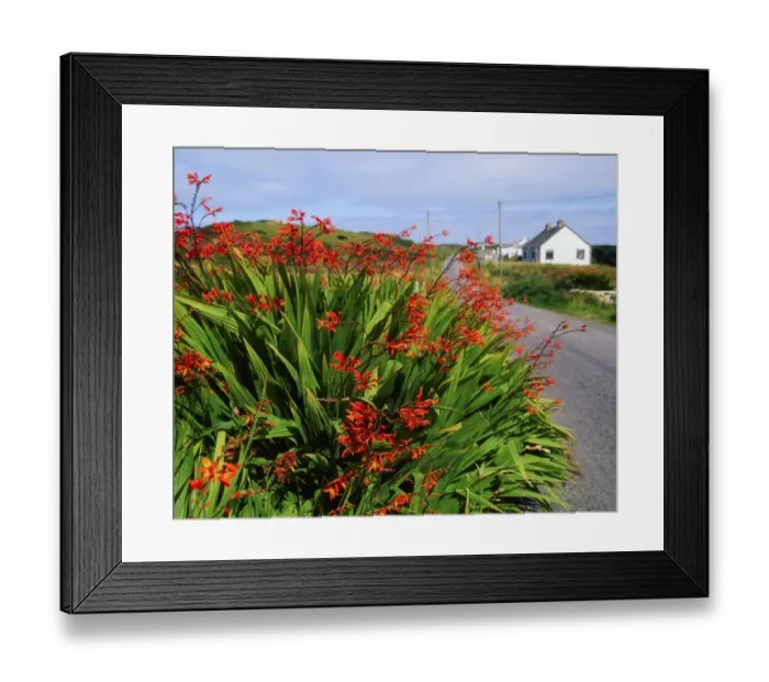 Framed Print : Traditional Cottage, Co Donegal, Rosbeg, Ireland Framed Print : Traditional Cottage, Co Donegal, Rosbeg, Ireland