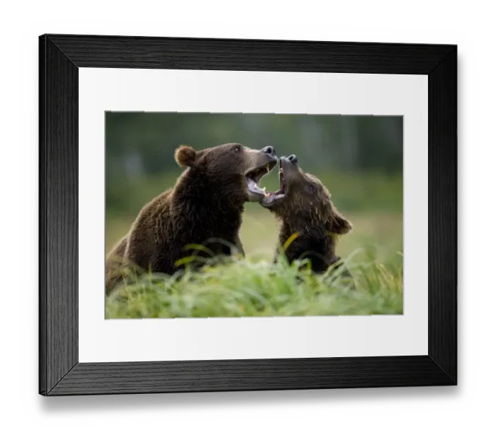 Framed Print : Paul Souders Photography Framed Print : Paul Souders Photography