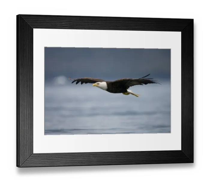 Framed Print : Paul Souders Photography Framed Print : Paul Souders Photography