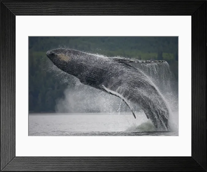 Framed Print : Paul Souders Photography Framed Print : Paul Souders Photography