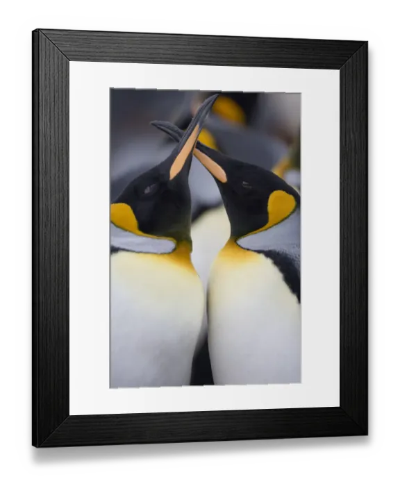 Framed Print : Paul Souders Photography Framed Print : Paul Souders Photography