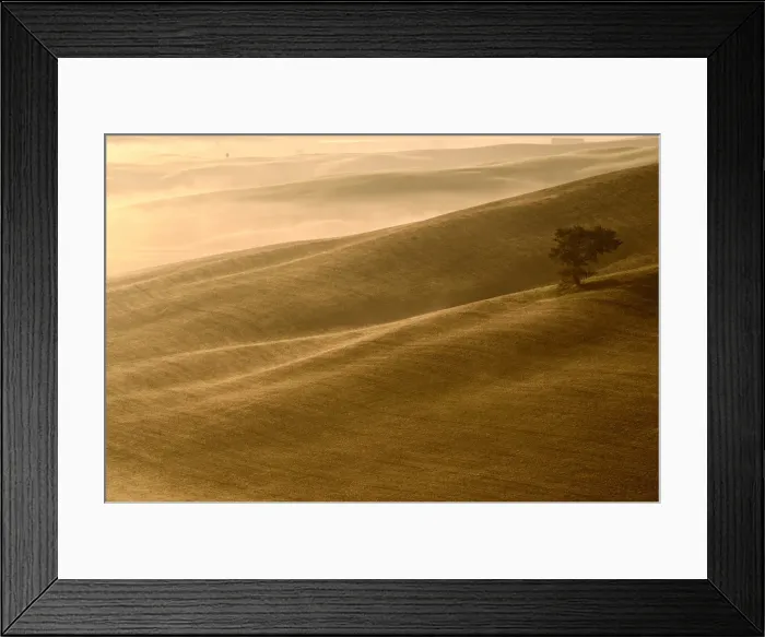 Framed Print : Glowing Autumn light on Val D Orcia hills with tree Framed Print : Glowing Autumn light on Val D Orcia hills with tree