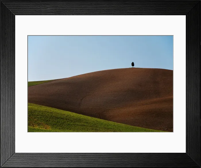 Framed Print : Lonely Cypress on the top of a hill, Val d Orcia Tuscany Framed Print : Lonely Cypress on the top of a hill, Val d Orcia Tuscany