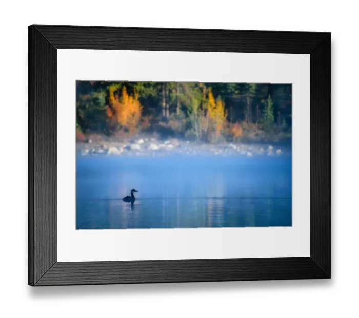 Framed Print : Misty Morning @ Patricia Lake, Jasper National Park, Alberta, Canada Framed Print : Misty Morning @ Patricia Lake, Jasper National Park, Alberta, Canada