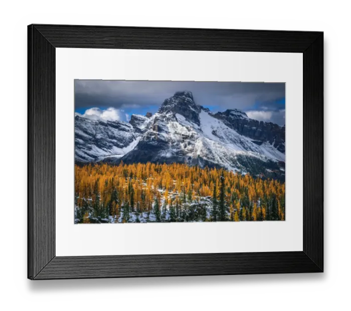 Framed Print : Autumn Scenery In Rocky Mountains, Lake O Hara, Yoho National Park, British Columbia, Canada