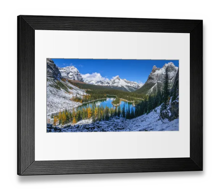 Framed Print : Autumn Scenery In Canadian Rockies, Lake O Hara, Yoho National Park, British Columbia, Canada Framed Print : Autumn Scenery In Canadian Rockies, Lake O Hara, Yoho National Park, British Columbia, Canada
