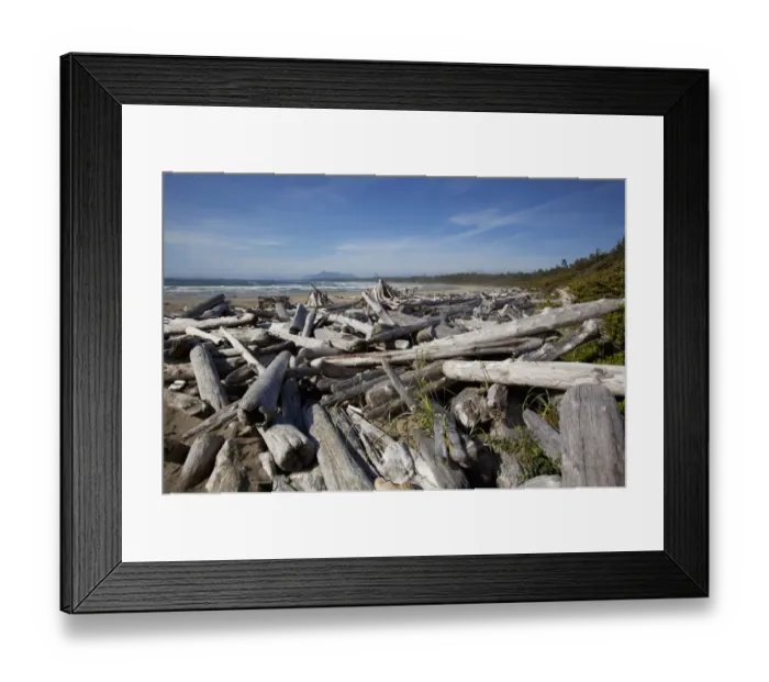Framed Print : Piles Of Driftwood And Logs At Wickaninnish Beach In Pacific Rim National Park Near Tofino Framed Print : Piles Of Driftwood And Logs At Wickaninnish Beach In Pacific Rim National Park Near Tofino