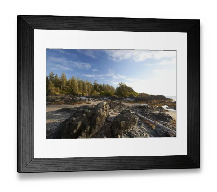Framed Print : The Coastline Between Wickaninnish Beach And South Beach In Pacific Rim National Park Near Tofino Framed Print : The Coastline Between Wickaninnish Beach And South Beach In Pacific Rim National Park Near Tofino