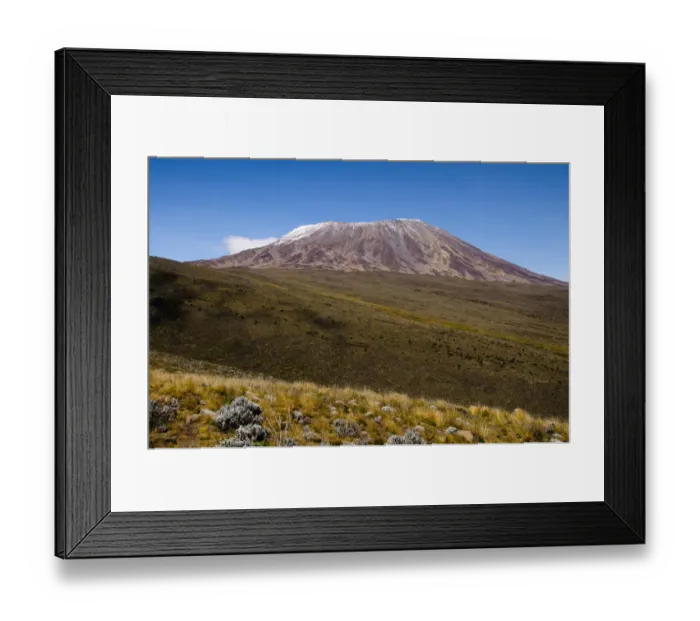 Framed Print : View of Mt. Kilimanjaro Across The Saddle Framed Print : View of Mt. Kilimanjaro Across The Saddle