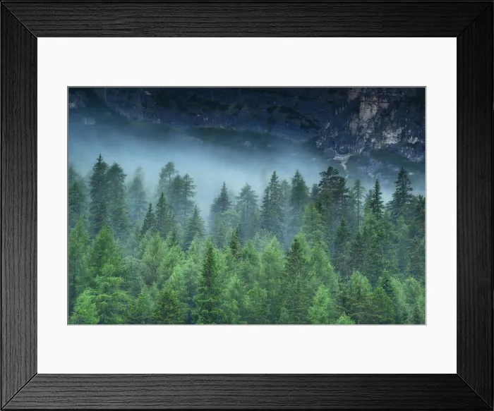 Framed Print : Misty alpine forest, Dolomites Framed Print : Misty alpine forest, Dolomites
