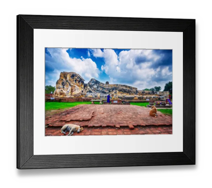 Framed Print : Sleeping Buddha and sleeping dog Framed Print : Sleeping Buddha and sleeping dog