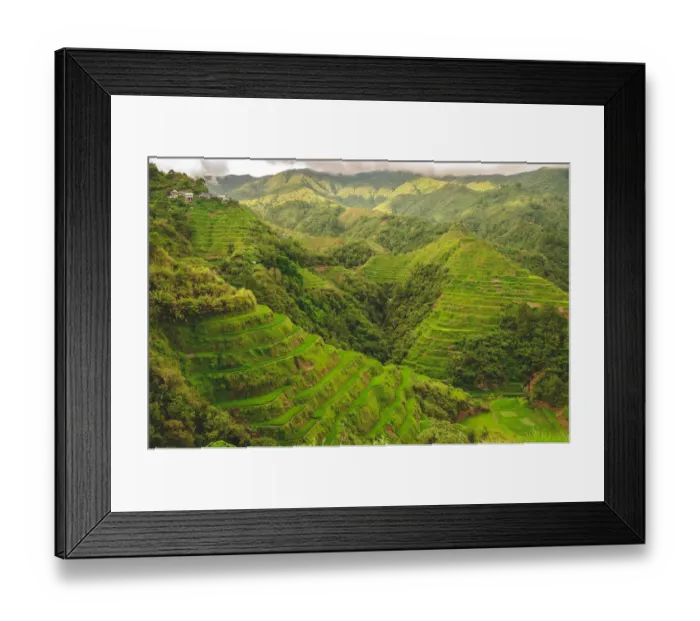 Framed Print : Banaue rice hills Framed Print : Banaue rice hills