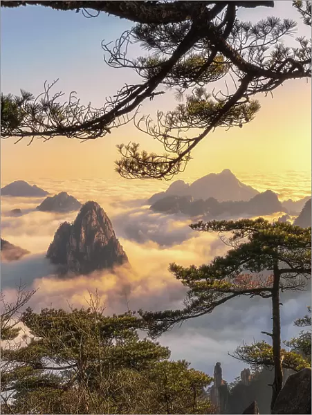 Mt. Huangshan in Anhui, China
