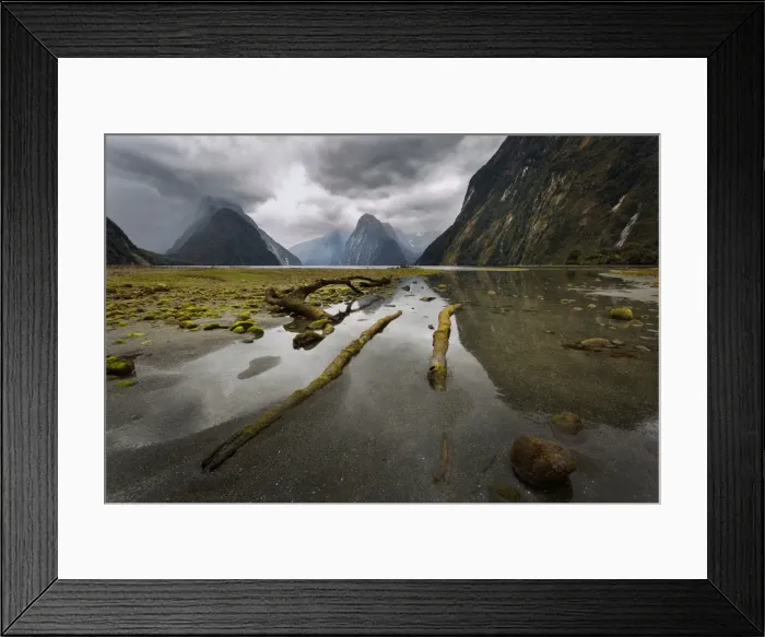 Framed Print : Milford Sound Framed Print : Milford Sound