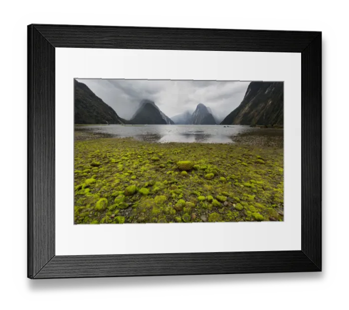 Framed Print : Milford Sound Framed Print : Milford Sound