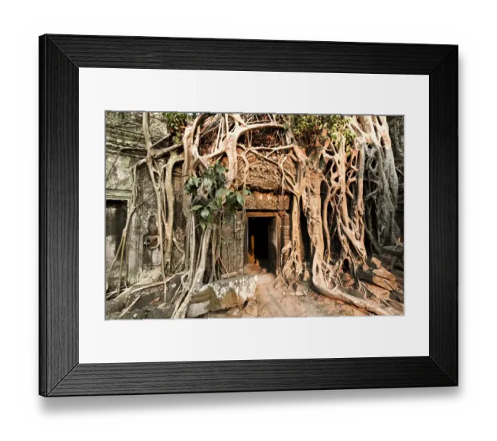 Framed Print : Ta Prohm jungle temple, Siem Reap, Cambodia Framed Print : Ta Prohm jungle temple, Siem Reap, Cambodia