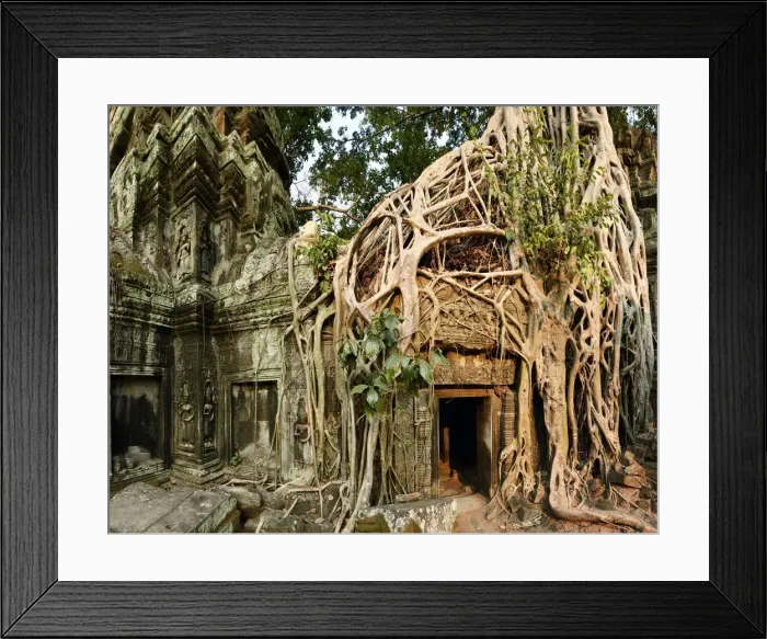Framed Print : Ta Prohm Temple, Khmer Empire, Cambodia