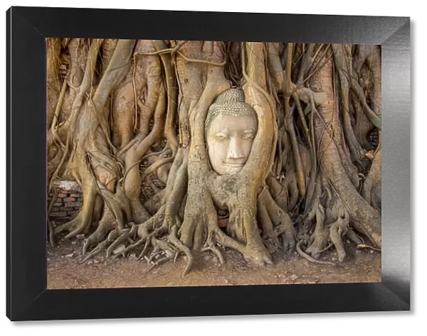 Head of sandstone buddha in tree root at wat mahathat temple, Ayutthaya, Thailand