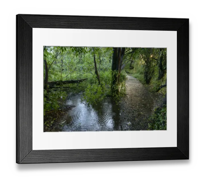 Framed Print : The path to The Knife Edge. Victoria Falls. Zambia Framed Print : The path to The Knife Edge. Victoria Falls. Zambia