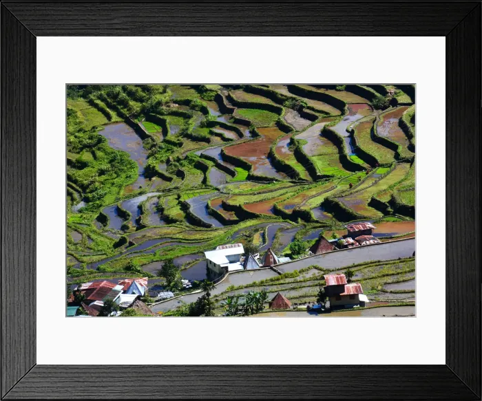 Framed Print : Batad rice terraces Philippines Framed Print : Batad rice terraces Philippines