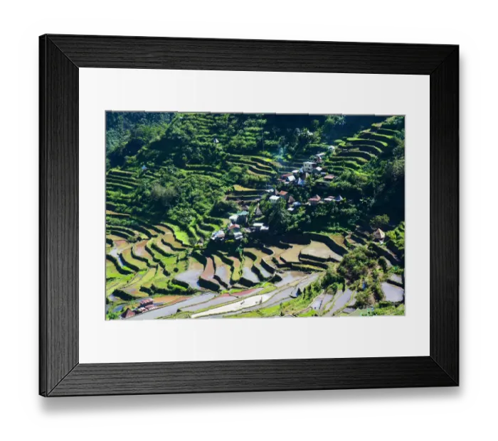 Framed Print : Batad rice terraces Philippines Framed Print : Batad rice terraces Philippines