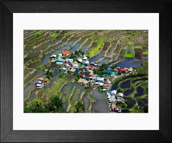 Framed Print : Batad rice terraces Philippines Framed Print : Batad rice terraces Philippines