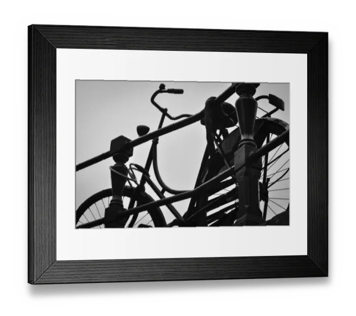 Framed Print : A Bicycle Culture That Moves Amsterdam