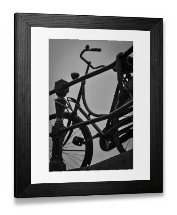 Framed Print : A Bicycle Culture That Moves Amsterdam
