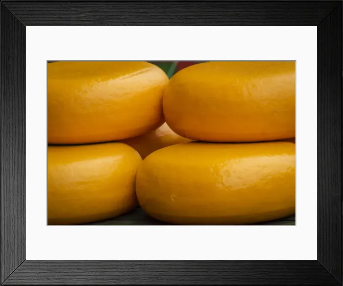 Framed Print : Gouda: The Traditional Cheese From The Netherlands Framed Print : Gouda: The Traditional Cheese From The Netherlands