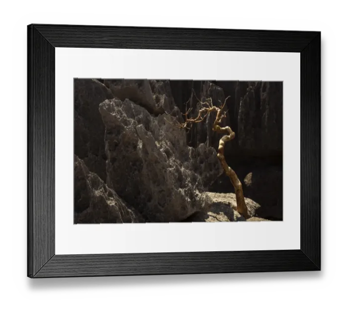 Framed Print : Tsingy de Bemaraha National Park. Unesco World Heritage in Madagascar Framed Print : Tsingy de Bemaraha National Park. Unesco World Heritage in Madagascar