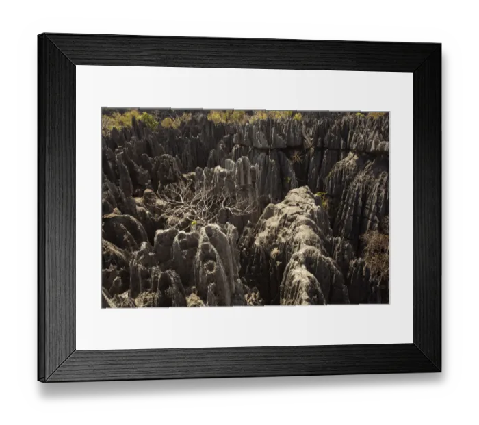 Framed Print : Tsingy de Bemaraha National Park. Unesco World Heritage in Madagascar Framed Print : Tsingy de Bemaraha National Park. Unesco World Heritage in Madagascar